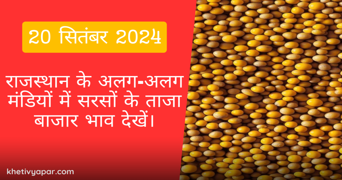 Mustard market price